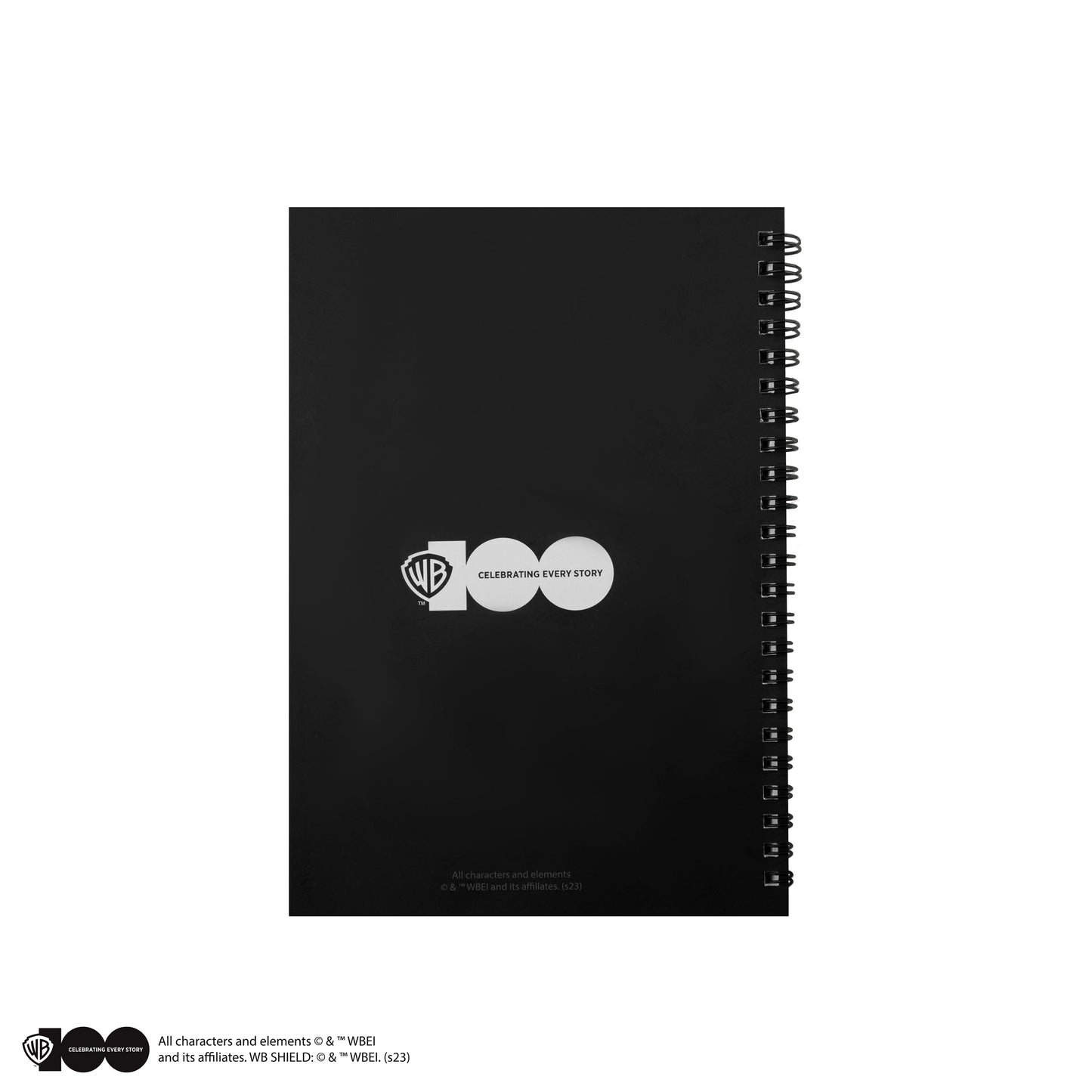 *Carnet Les maisons Poudlard des Looney Tunes