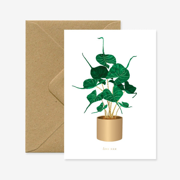 Alocasia Stingray - Greeting card