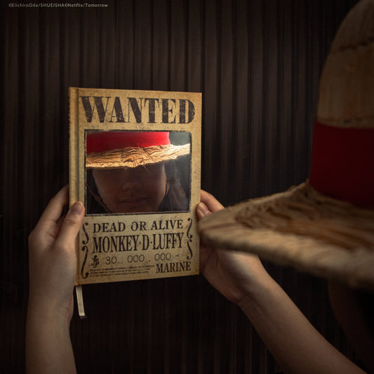 Notebook Wanted Mirror