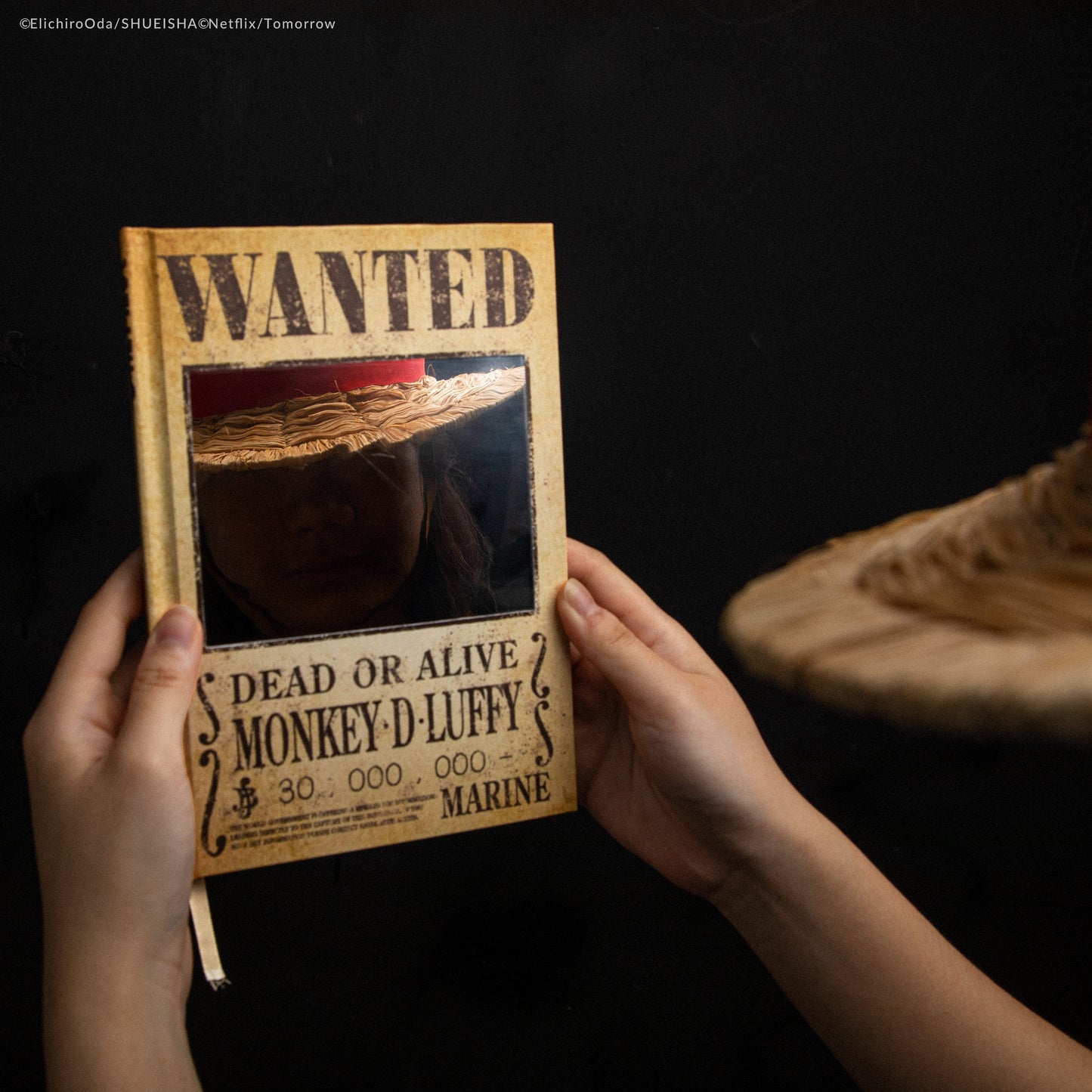 Notebook Wanted Mirror