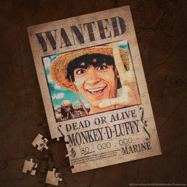 Luffy Wanted Magnetic Puzzle