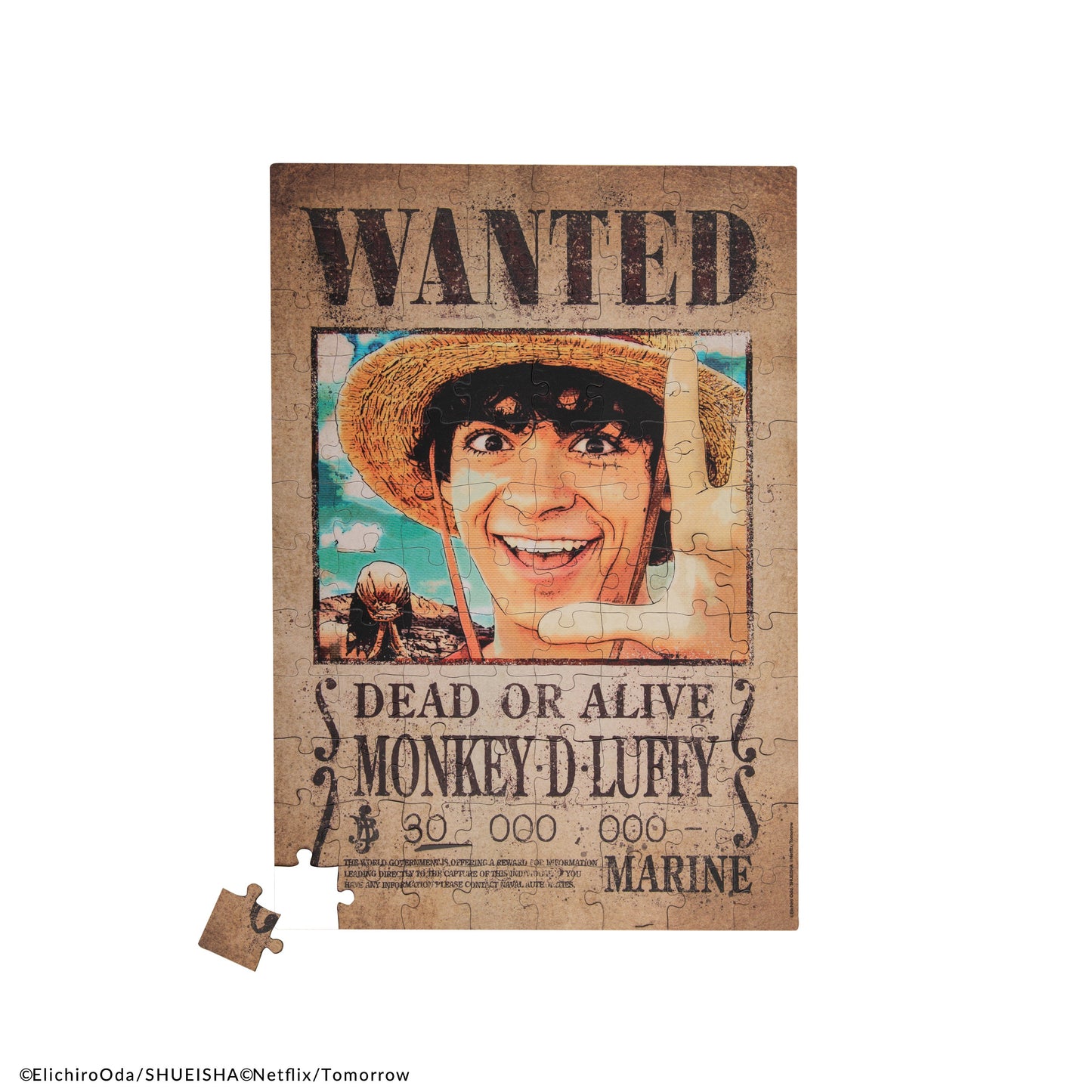 Luffy Wanted Magnetic Puzzle