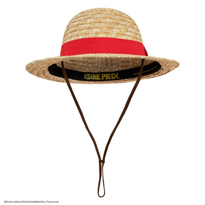 Luffy's Straw Hat