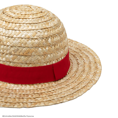 Luffy's Straw Hat