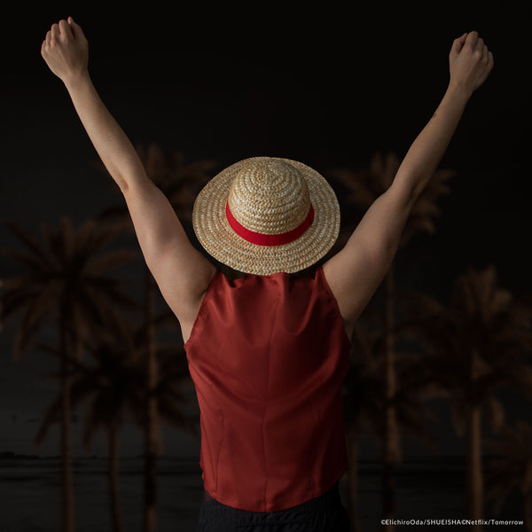 Luffy's Straw Hat