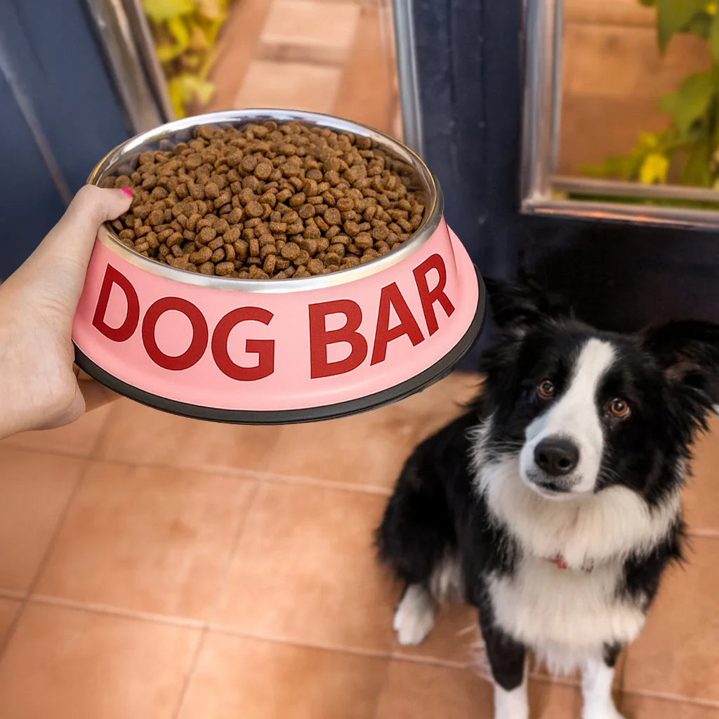 Gamelle et Abreuvoir « Dog bar » – Fisura – vue 3