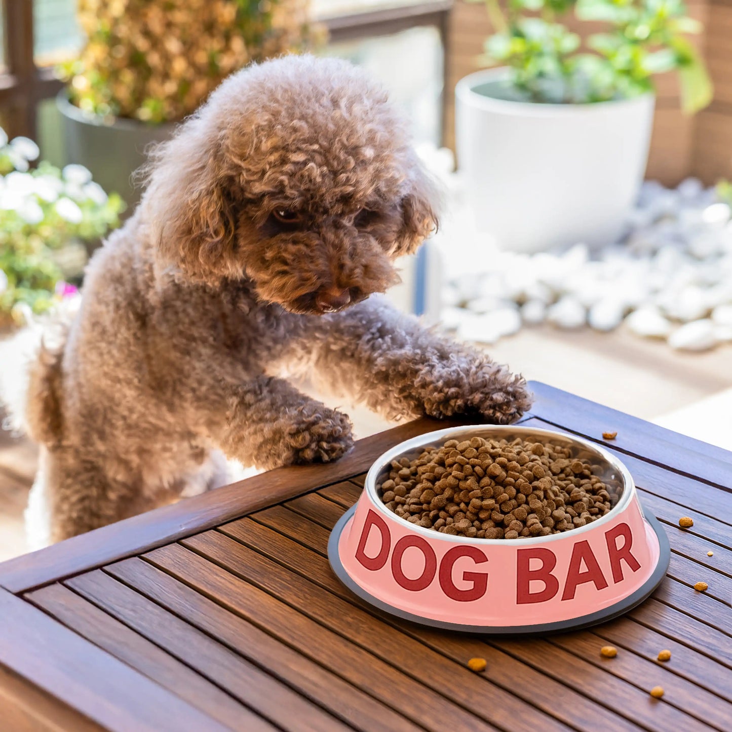 Gamelle et Abreuvoir « Dog bar » – Fisura – vue 6
