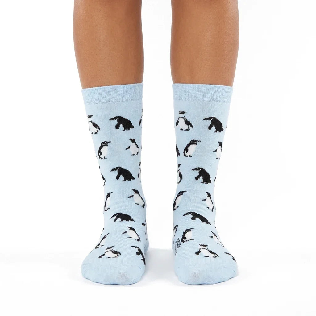 Chaussettes « Pingouins » - Chulé
