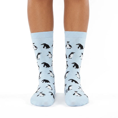 Chaussettes « Pingouins » - Chulé