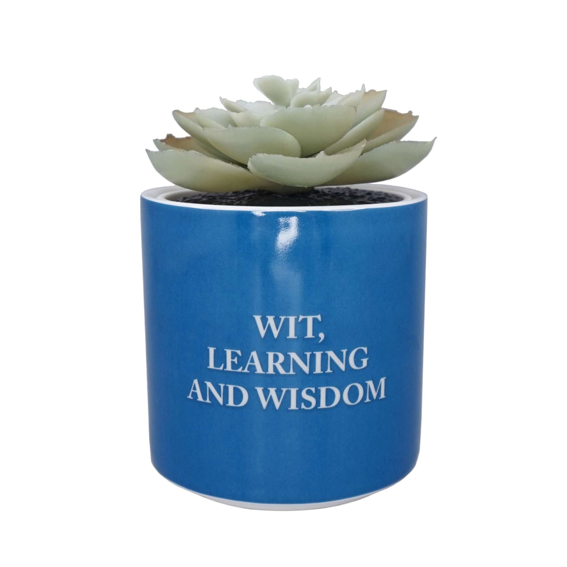 Plante artificielle en pot Harry Potter - Serdaigle 6,5 cm