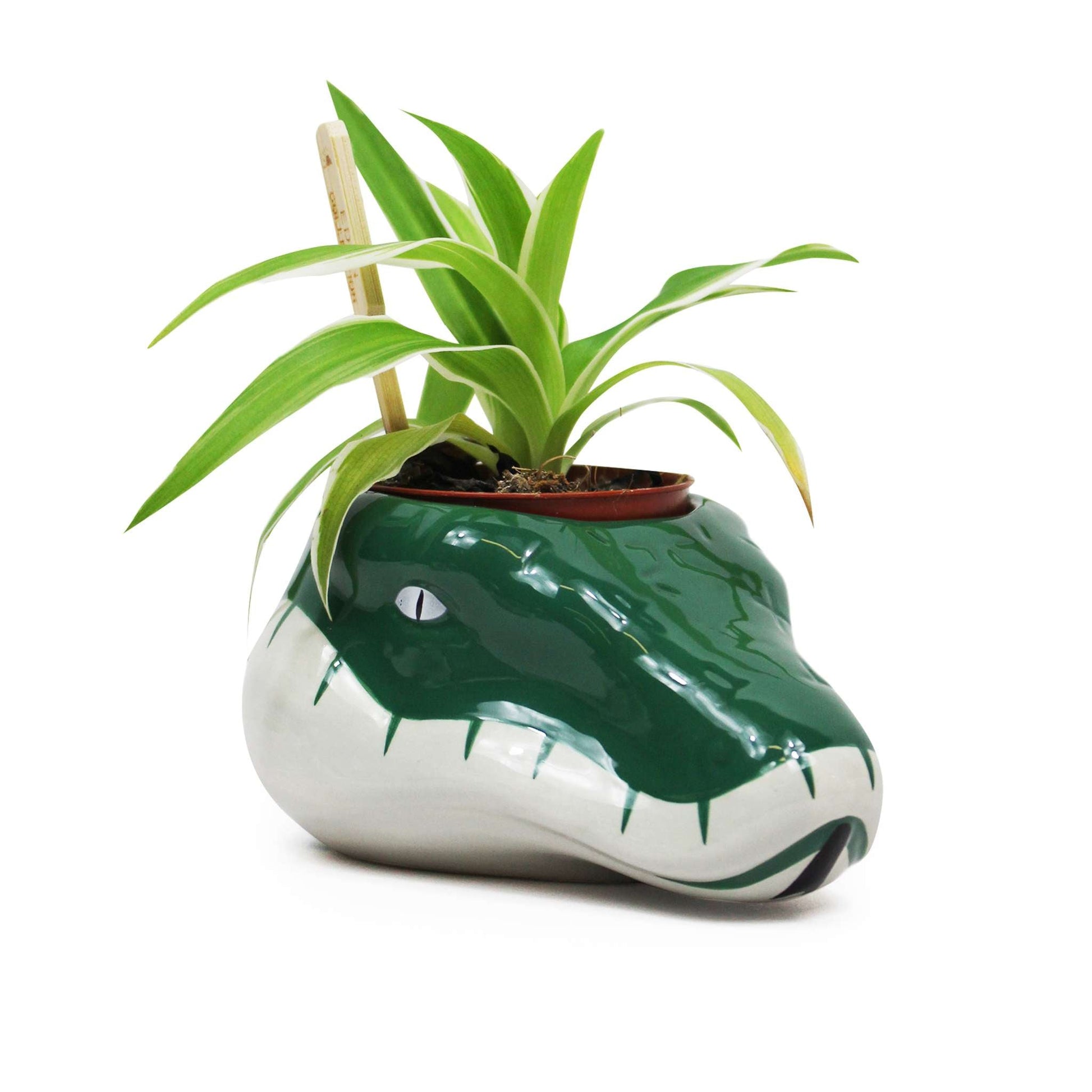 Pot de fleurs Harry Potter - Serpentard