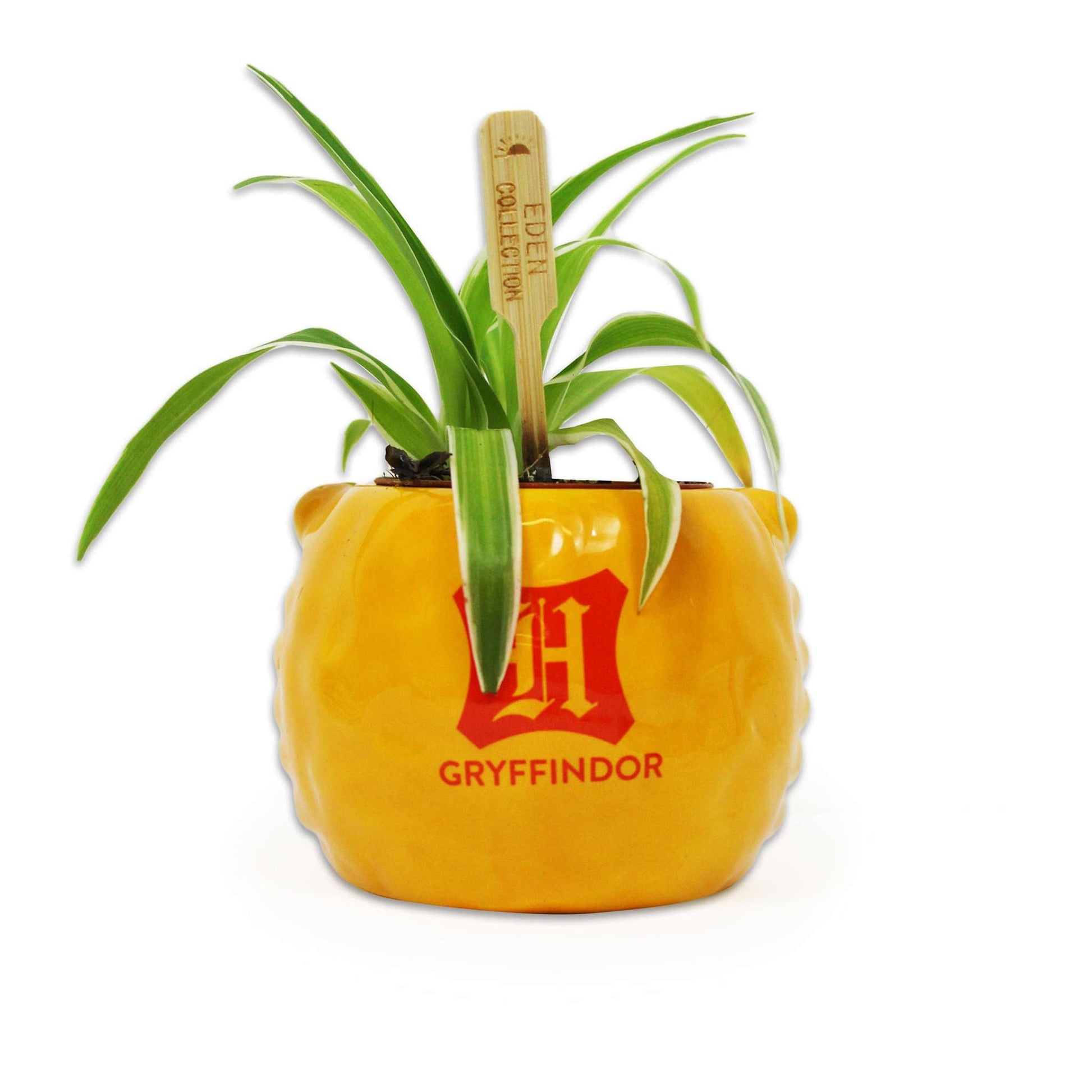 Pot de fleurs Harry Potter - Gryffondor
