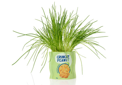Pot de Fleur Cacahuètes en Céramique