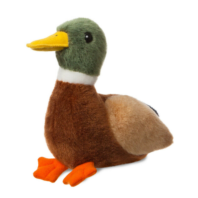 Peluche Canard Colvert – visuel produit