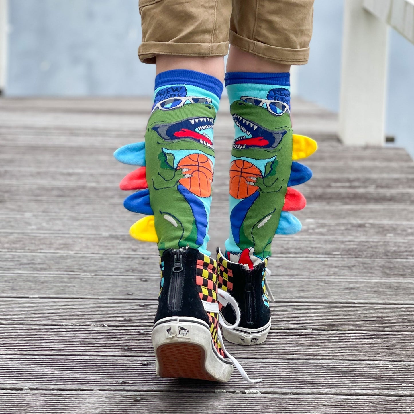 CHAUSSETTES DINOSAURE