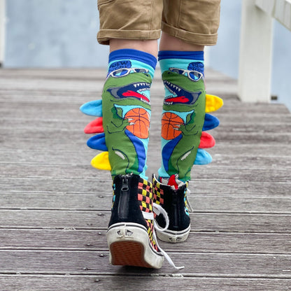 CHAUSSETTES DINOSAURE