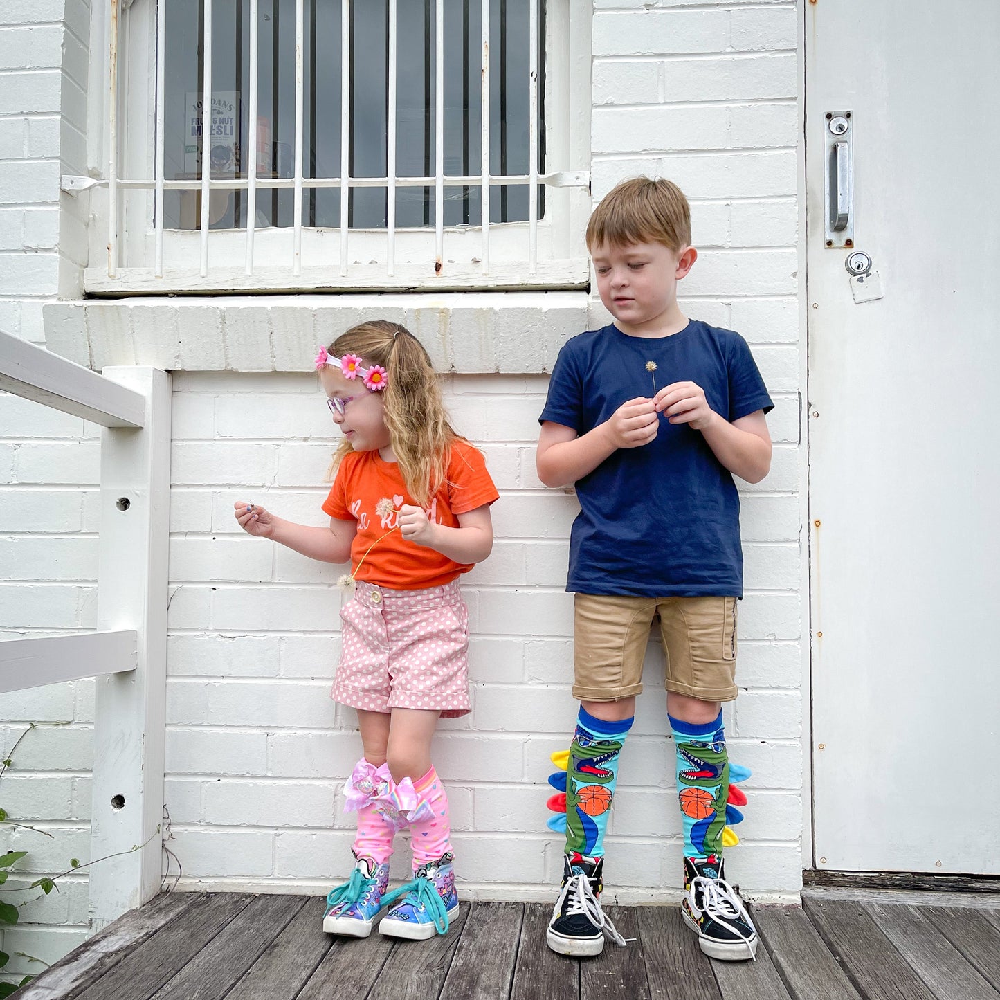 CHAUSSETTES DINOSAURE