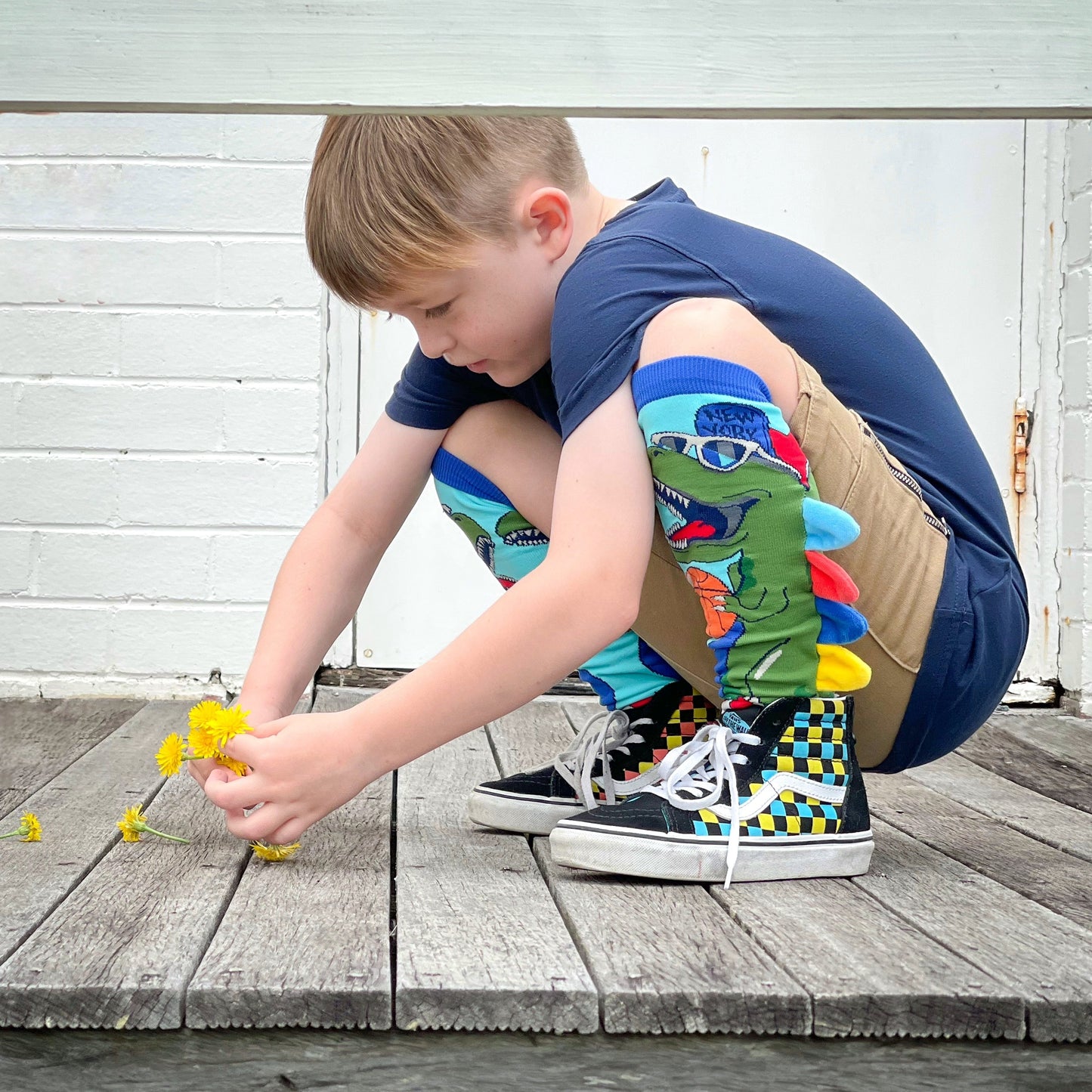 CHAUSSETTES DINOSAURE