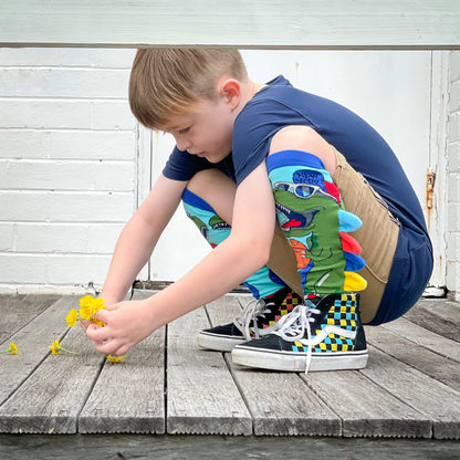 CHAUSSETTES DINOSAURE