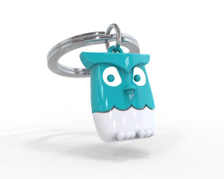 Turquoise owl key door