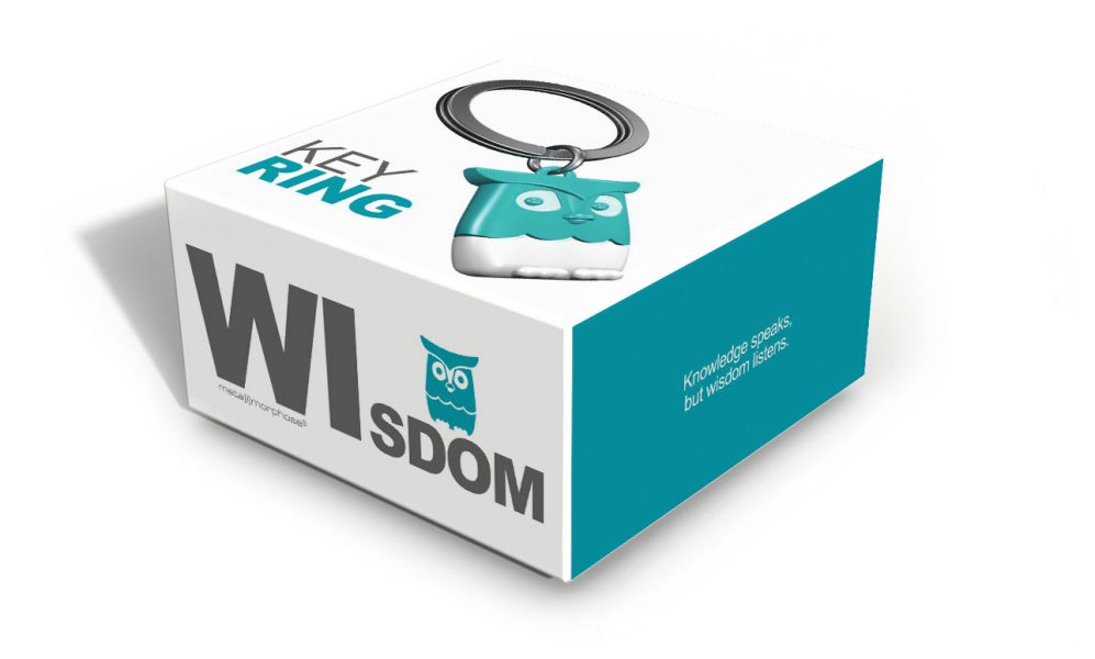 Porte Clés Hibou Turquoise