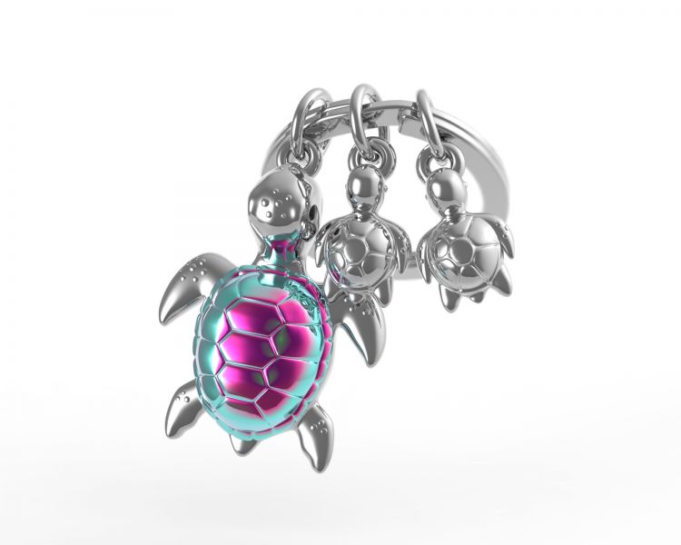 Key Turtle Key Key Porte