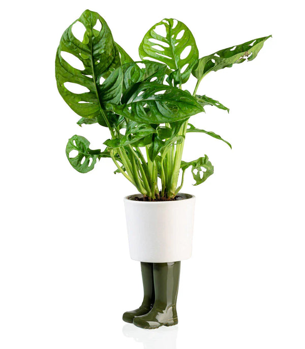 Pot de fleur Bottes Wellington Vert Bitten – Cache-pot original