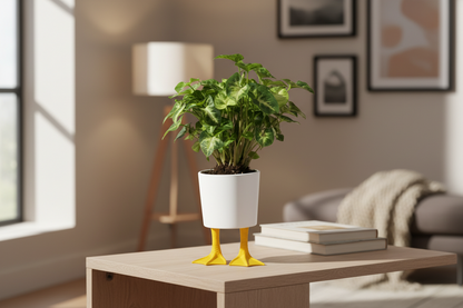 Pot de fleur Pattes de Canards