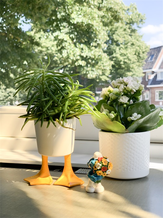Vaso di fiori a forma di zampe d'anatra