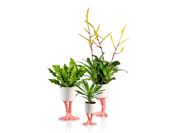Pot de fleur Pattes de Flamant Rose Bitten – Cache-pot original