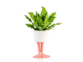 Pot de Fleur Pattes de Flamant Rose – Grand