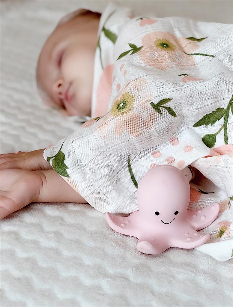 Il mio primo animale marino – Polpo