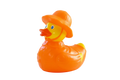 Ente Regentag « Puddle »