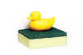 Enten-Schwammhalter