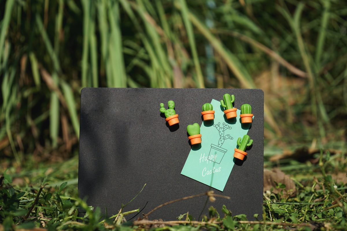 Cactus magnets