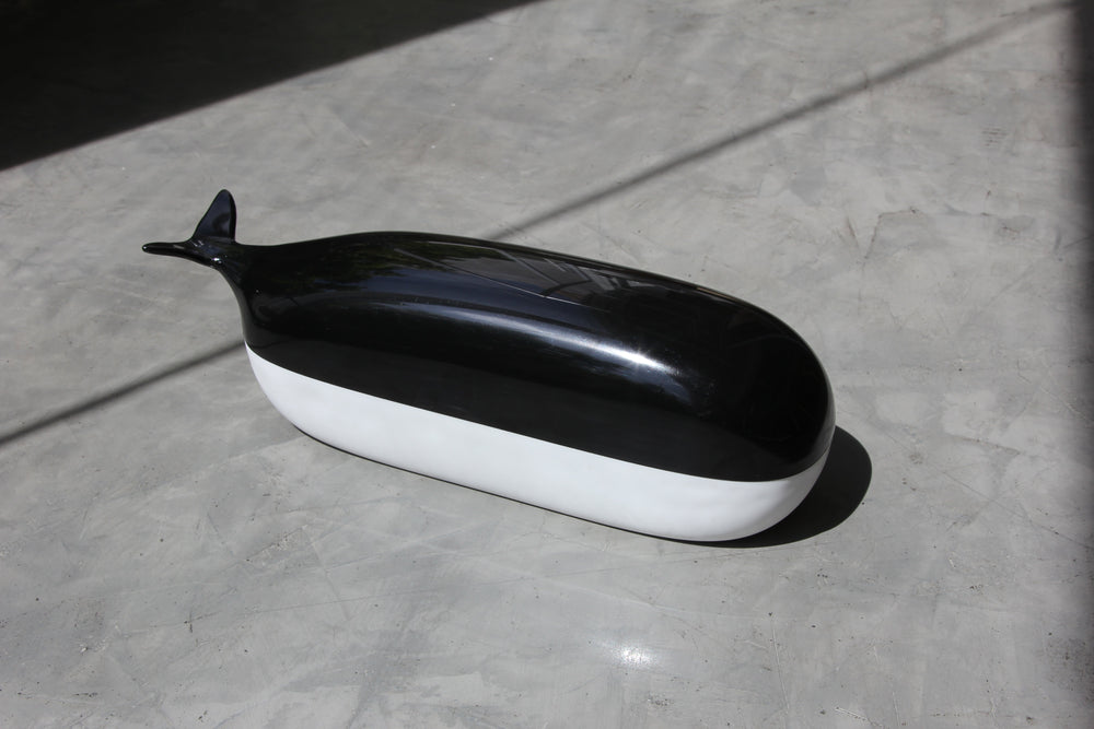 Willy La Baleine box