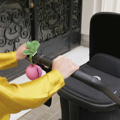 Ramona the Radish Dummy Case