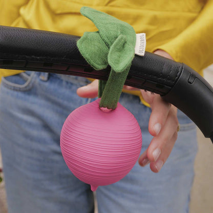 Ramona the Radish Dummy Case