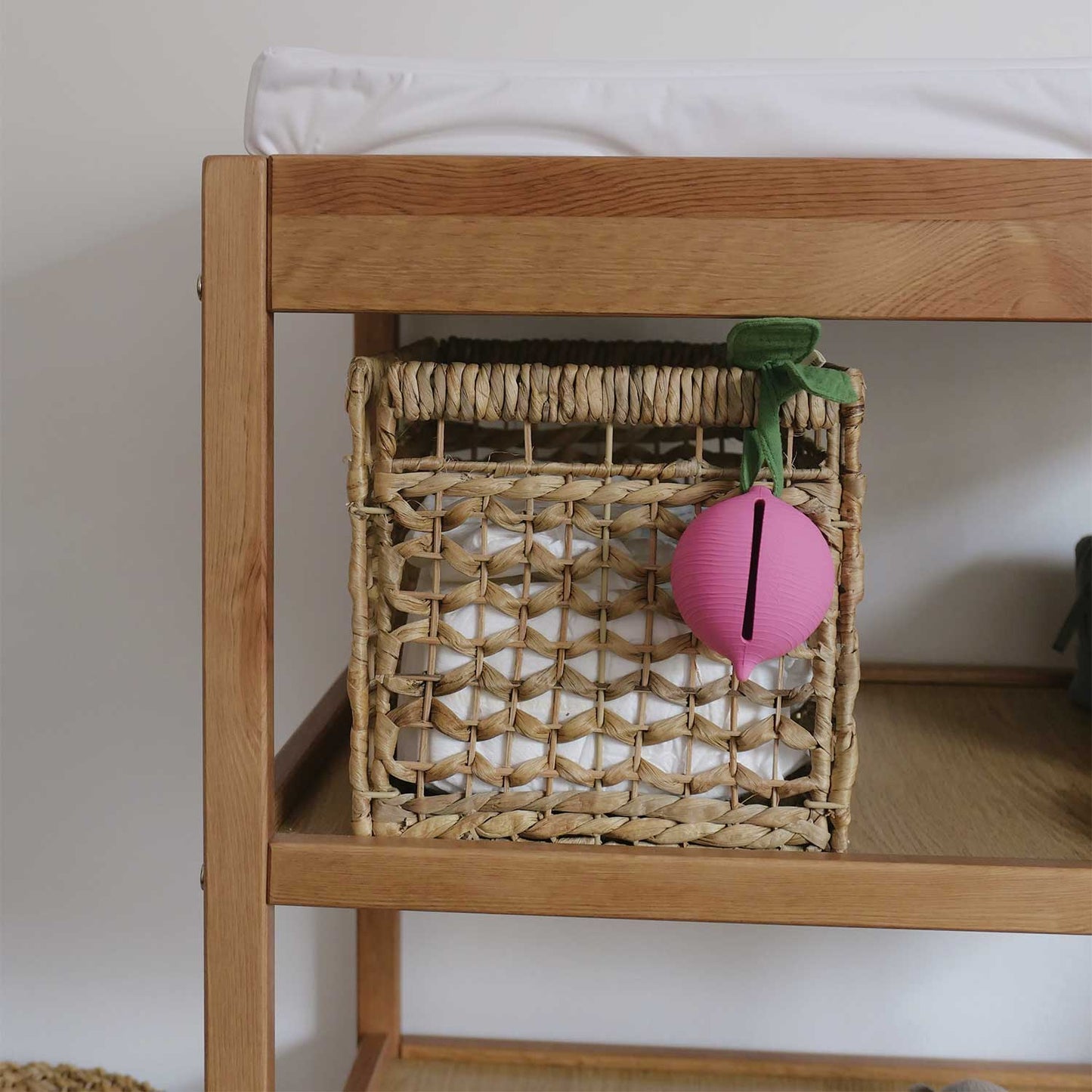 Ramona the Radish Dummy Case