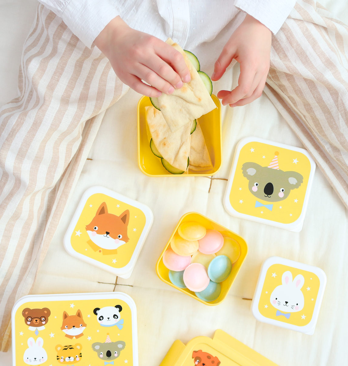 Lot de 4 boîtes repas et goûter - Amis des animaux