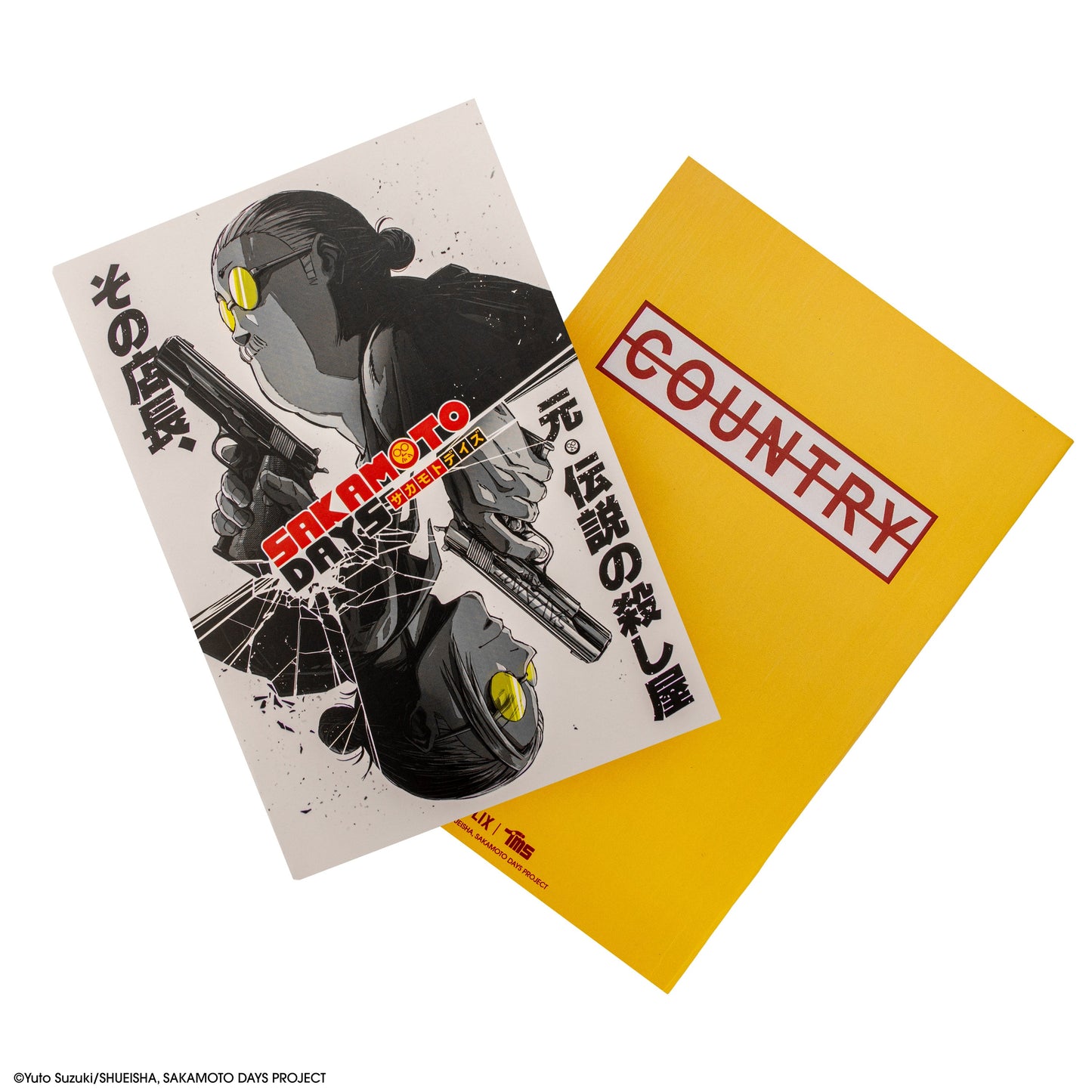 Assassin's Fashion Notebook