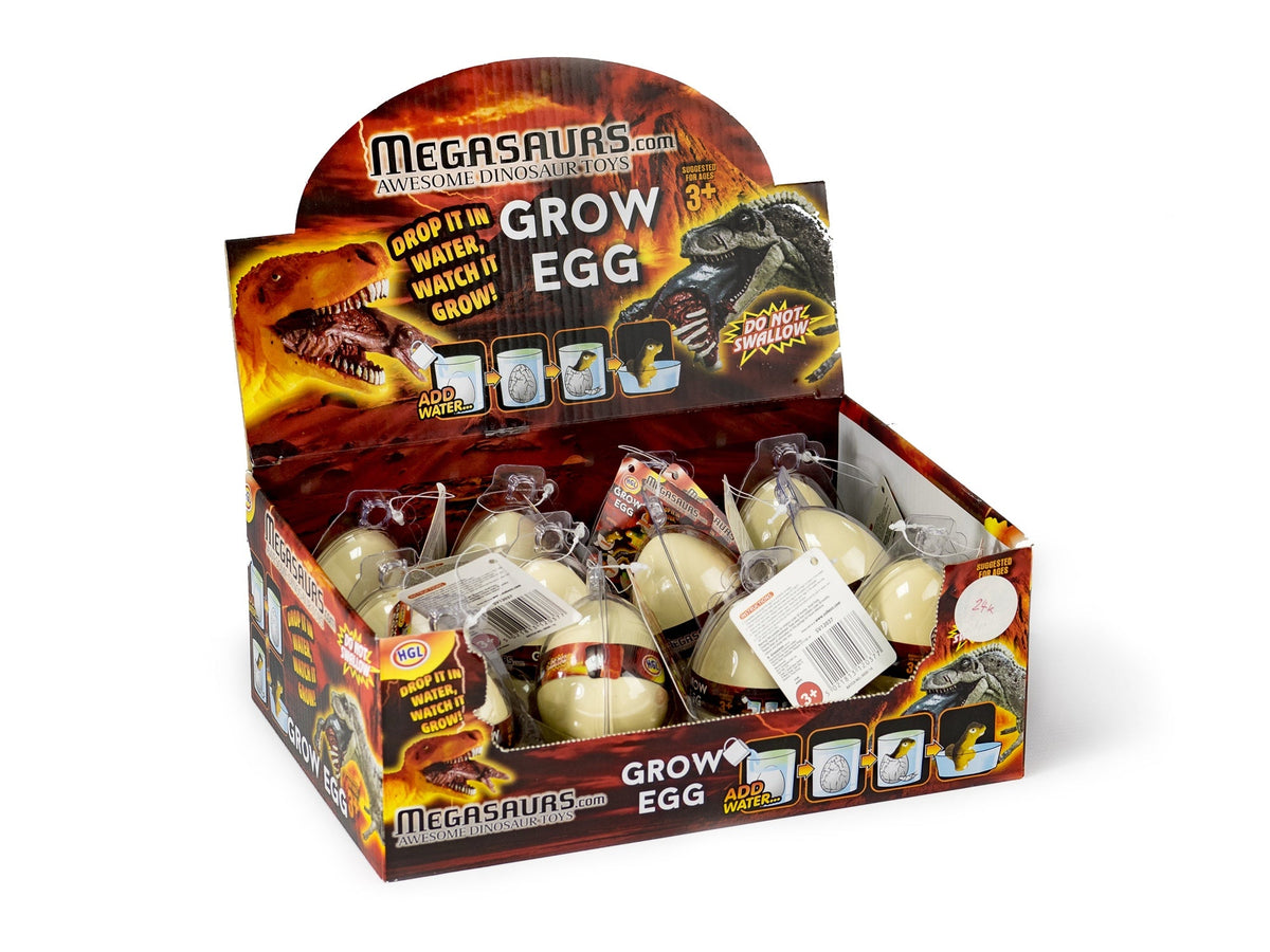 DINOSAUR GROWING EGG (SMALL)