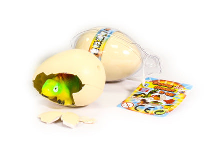 DINOSAUR GROWING EGG (SMALL)