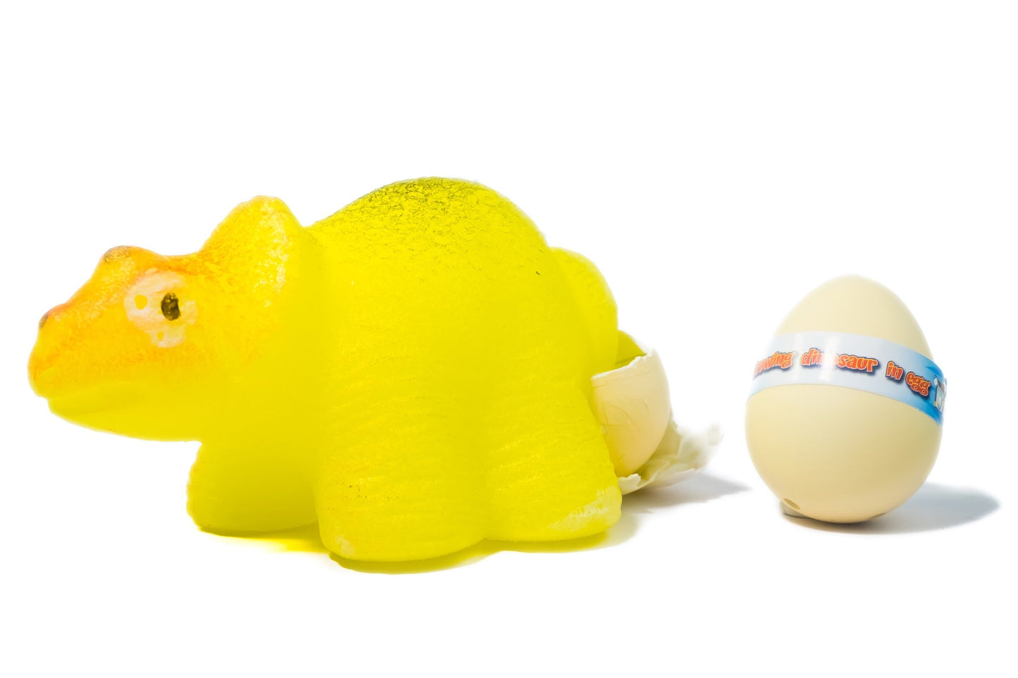 DINOSAUR GROWING EGG (SMALL)