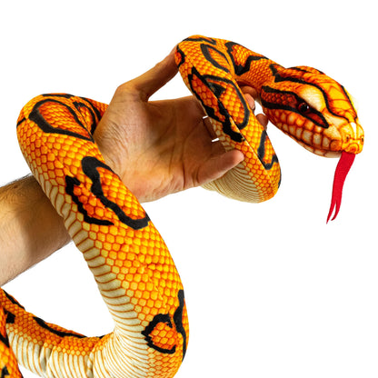 ASSORTED SNAKES 6