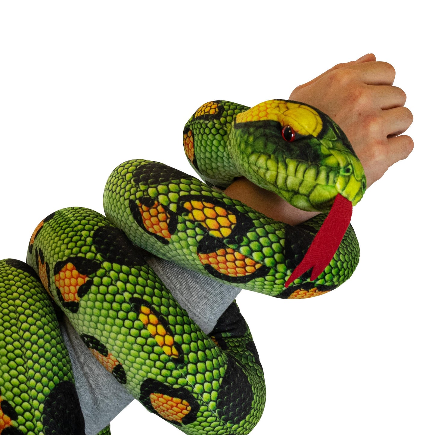 SNAKE 2 ASSORTED
