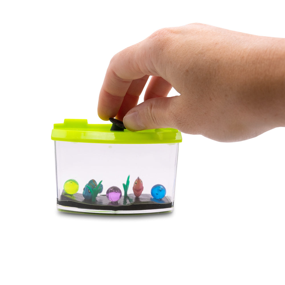 Aquarium Magique à Faire Grandir