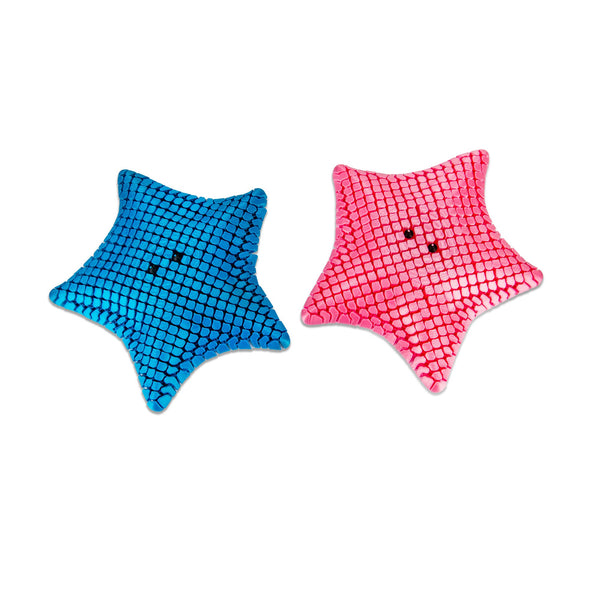 ÉTOILE DE MER IMPRIMÉE EN 3D