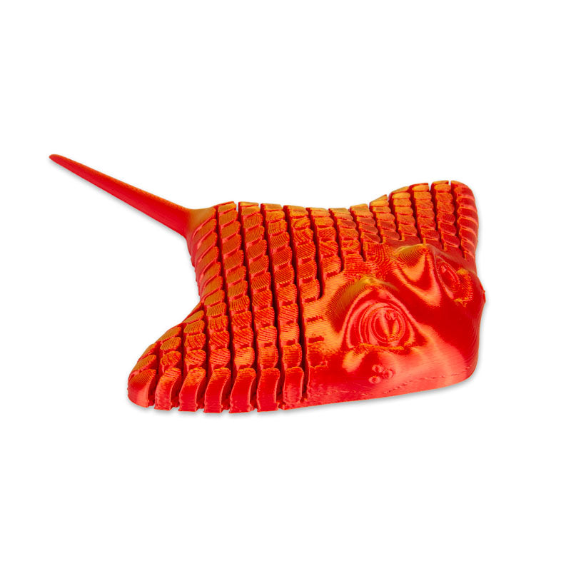 RAIE IMPRIMÉE EN 3D