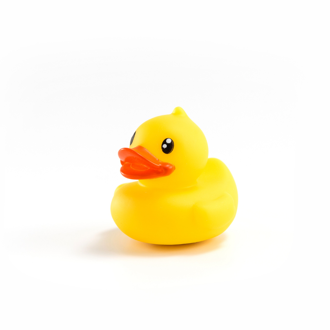 Canard de Bain B.Duck